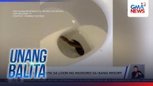 Ahas, nakita sa loob ng inodoro sa isang resort | Unang Balita