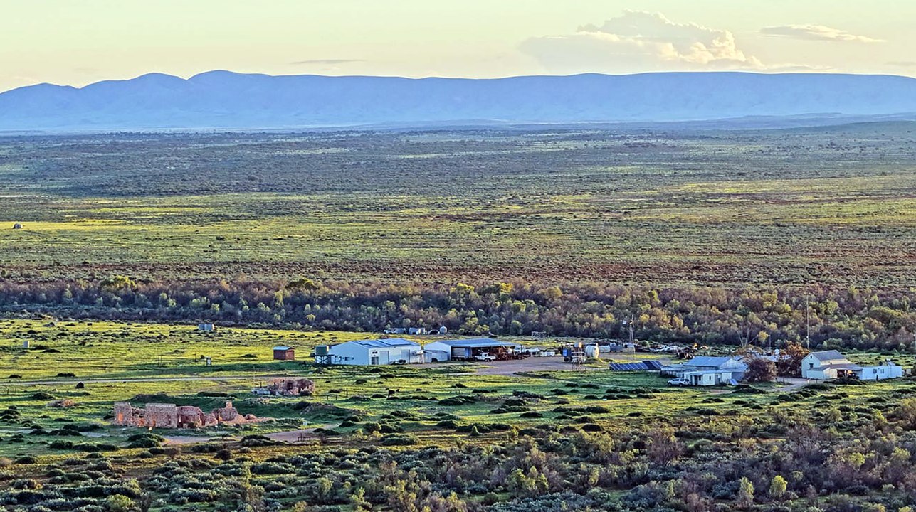 Farina Station near Marree is off to auction walk-in walk-out.