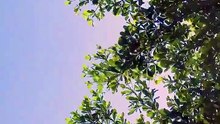 情深相愛時_1 劉宇航 葉鑫鑫（六金yE）