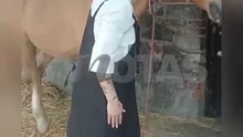 Lolita Cortés revive La Granja VIP entre animales 😱