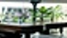 S t e a l   S 0 1   E 0 5 [Full Movie] [Full Storyline]Full EP - Full