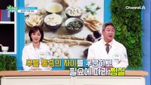 "살림을 대충할 때 무릎은 행복합니다" 살림의 여왕에게 무릎 통증이 생긴 이유는?!