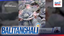 Mga tanim na repolyo, hindi na aanihin dahil malulugi lang daw sa sobrang baba ng presyo nito | Balitanghali