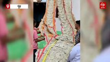 नूंह में दूल्हे की माला पहनाने की रस्म पर विवाद, पक्षों में जमकर हुआ पथराव, देखें वीडियो