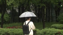 [날씨] 맑은 햇살에 봄기운 '가득'...내일 흐리고 중부 약한 비 / YTN