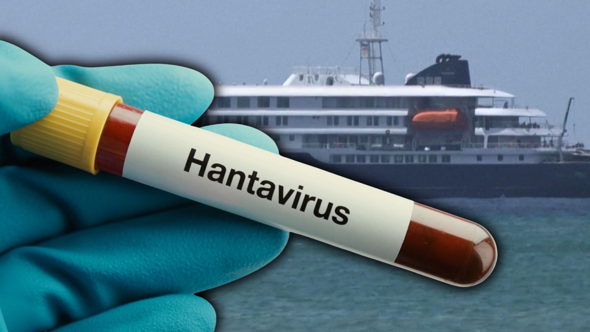 España recibe en Canarias al crucero con un brote de hantavirus: ¿hay algo que temer?