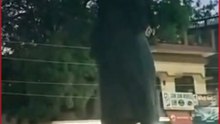 Highway Drama in Maharajganj: Woman Blocks Traffic, Climbs Vehicles, Sparks Chaos at Busy Junction