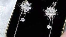 Elegant Crystal Tassel Earrings for Women – Trendy Design ✨