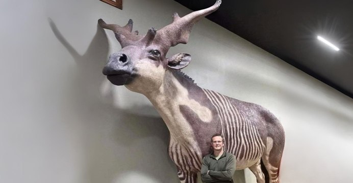 Behind the Giants' Megafauna roamed Earth with humans in ancient times