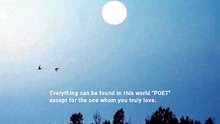 Everything can be found "POET"