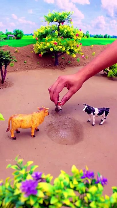 Village life