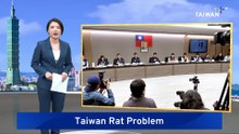 Taipei Mayor Launches Citywide Crackdown on Rodents