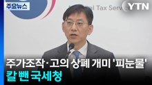 주가 조작에 고의 상폐로 개미 '피눈물'...칼 빼든 국세청 / YTN