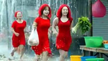 물과 바다 꽃