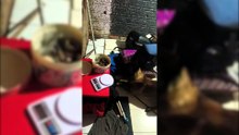 Ação da ROCAM com cão farejador resulta em grande apreensão de drogas em Pato Branco