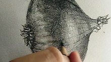 How to draw and shade a onion, realistic onion shading