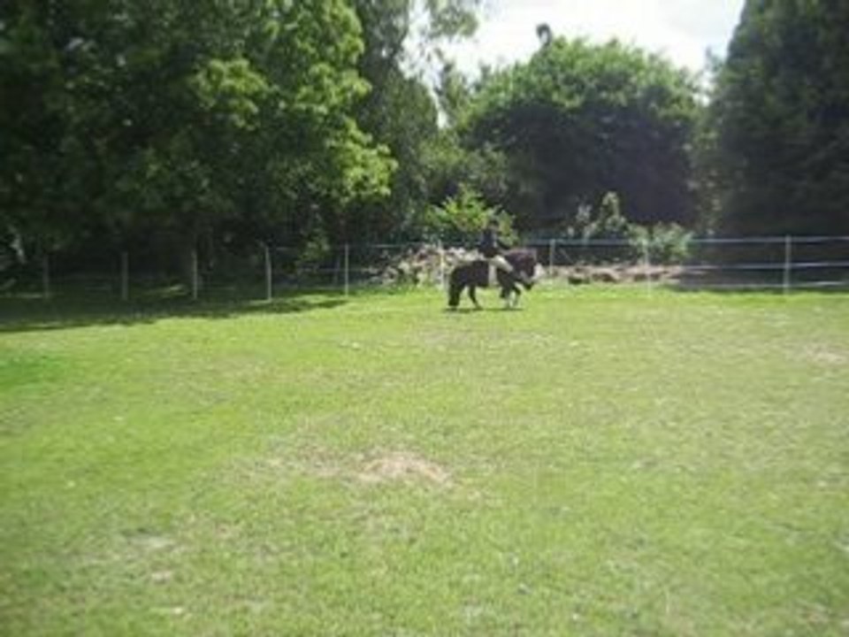 Pas espagnol monté, par imitation