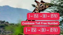 [【*Verified*】HashTaG#] Coinbase® WALLET SUPPORT© SUPPoRT℗ Phone NuMber (OfficiAl)