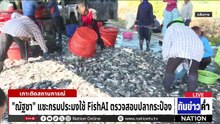 ผู้บริหารแจง "ปลานิลกระป๋อง" เป็นสินค้าทดลอง | เนชั่นทันข่าวค่ำ | 6 พ.ค.69  | PART 3