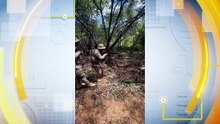 Operação Policial em Salgueiro: Sequestro de Caminhoneiro Estopim para Prisão de Quadrilha e Recuperação de Carga Avaliada em R$100 mil