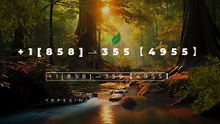 【Coinbase®】 WalLEt Support®️ Number By Helpline, Chat And Email A Step COmpLetE Guide+1[858]⇀355【4955】 (8)