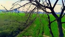 Farming gandu katai video