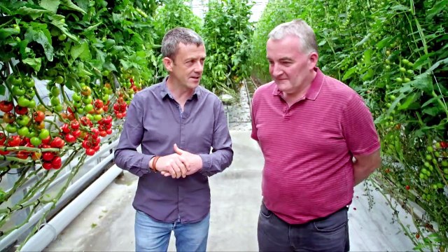 Grow Cook Eat S01E02 - Tomatoes – a Meal in Themselves - Free TV Shows Tubi