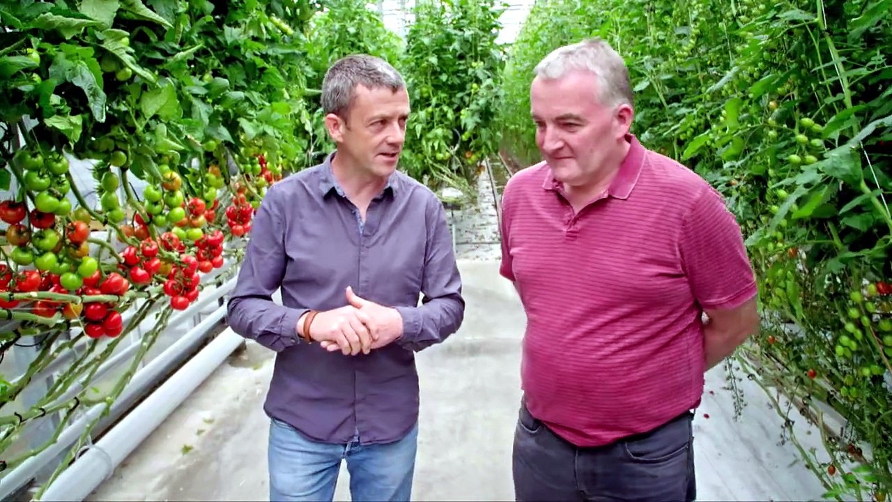 Grow Cook Eat S01E02 - Tomatoes – a Meal in Themselves - Free TV Shows Tubi