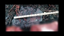 Recreación de un asesinato - Tráiler oficial español