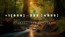 !!CoMpletE™ List of Coinbase™ Official Customer Service℗ Phone Number Guide Step-by-Step Help & Support Coinbase™+1[858]⇀355【4955】 (8)