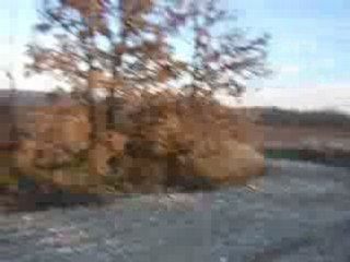 saut de Gaz en Quad