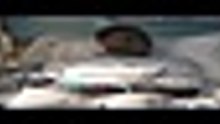 ...Paradise ...S02E02 [Full Movie] [Full Story]Full EP - Full