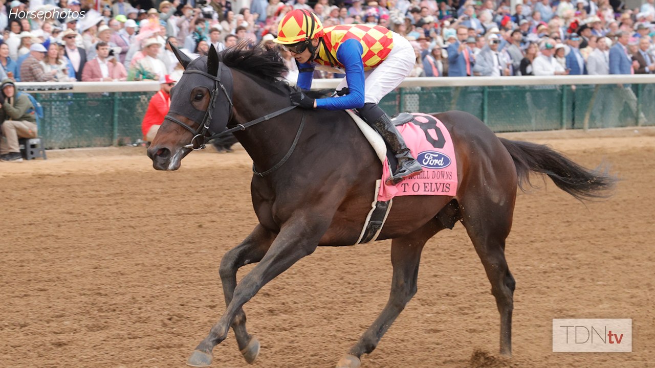 Derby Day Produced the Fastest Horse of the Week...But Who Was It?
