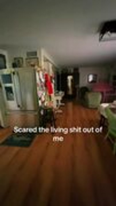 Man Gets Scared by Cardboard Cut Out Inside His Empty House