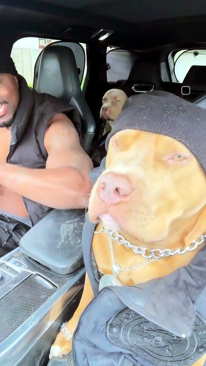 HUMAN AND DOG