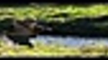 ...The ...Crown ...S04E01 [Full Movie] [Latest Version]Full EP - Full