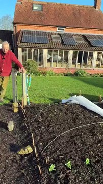Distancias de siembra de muchos cultivos en una cama de cultivo | Tips de jardinería sin cavar