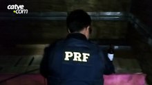 PRF apreende mais de mil garrafas de vinho argentino durante fiscalização em Cascavel