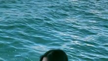 1000011017