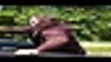 T h e   N i g h t   A g e n t   S 0 3 E 1 0   ( M Y S M A R T M E D I A . C O M . N G ) _ 5 4 0 p [Full Movie] [Must See]Full EP - Full