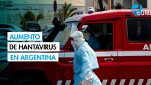 Argentina registra aumento de casos de hantavirus; pero se descarta un brote