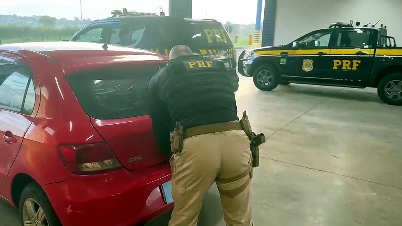 PRF prende motorista de aplicativo que transportava 34 kg de skunk em Icaraíma - 1