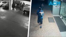Alleged offender seen nursing puppy during burglary
