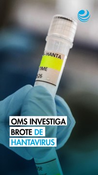 Primer contagio de hantavirus en crucero no pudo haber sido a bordo o en escala, según la OMS