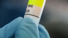 Primer contagio de hantavirus en crucero no pudo haber sido a bordo o en escala, según la OMS