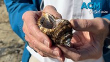 Remarkable Lake George discovery baffles professor