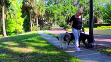 Escape to Florida - Season 1 Episode 3 - Episode 3