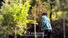 东北奇妙故事之摇篮曲