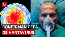 ¿Hay riesgo de contagio? Expertos revelan datos clave sobre la cepa del Hantavirus