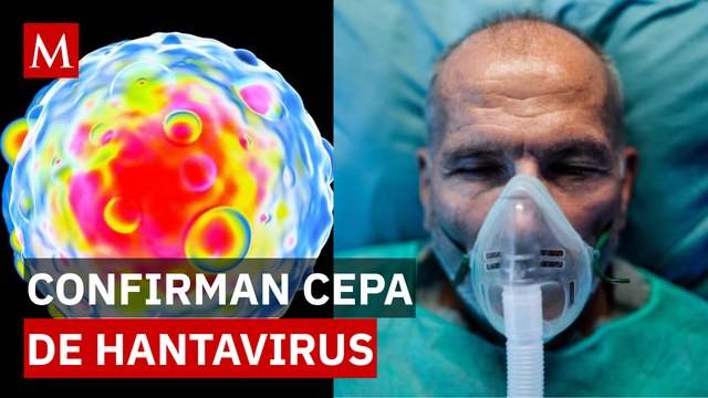 ¿Hay riesgo de contagio? Expertos revelan datos clave sobre la cepa del Hantavirus
